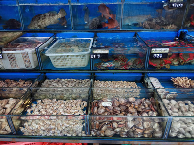 水產(chǎn)品之河海鮮 營養(yǎng)價(jià)值與消費(fèi)指南